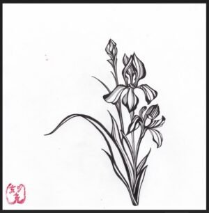 Collections shoubu signed