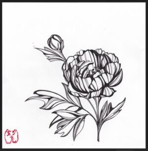 Collections botan (peony)