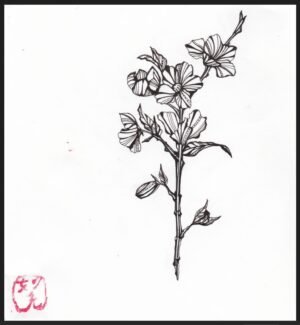 Collections fuyu (winter)