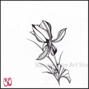 Collections hasu ichi (lotus blossom)