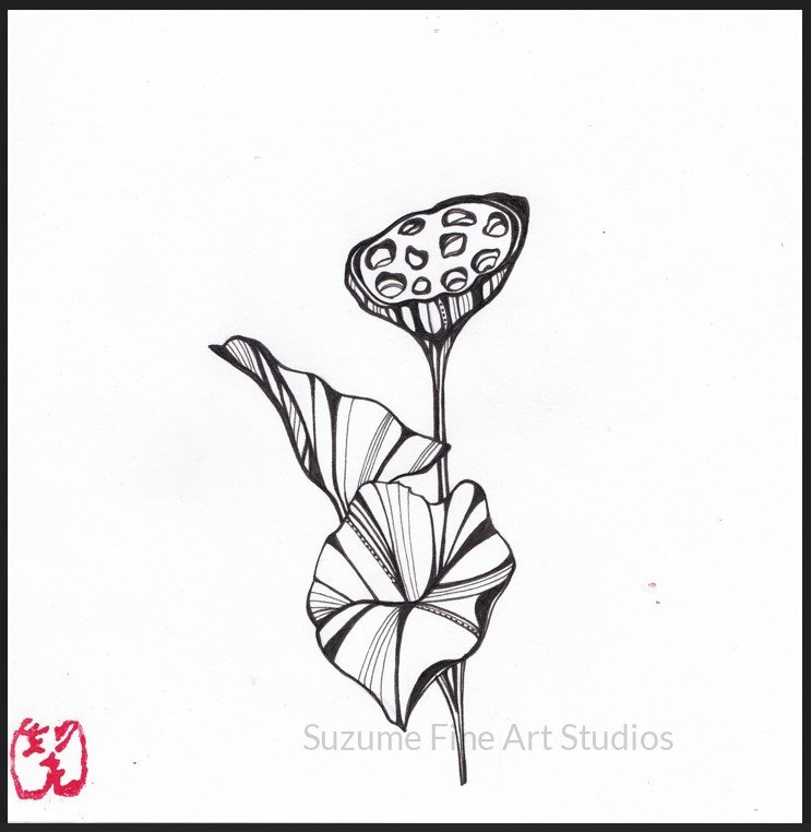 Home hasu san (lotus pod)