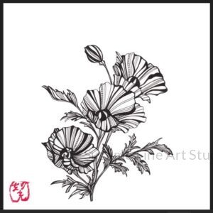 Collections keshi signed version