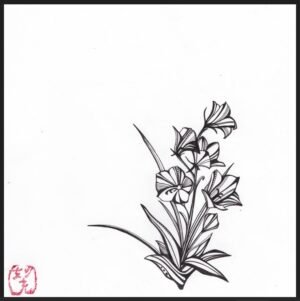 Collections kikyo (bellflower)