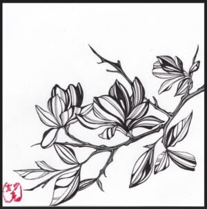 Collections mokuren (magnolia)