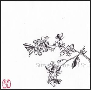 Collections sakura (cherry blossom)